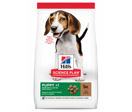 Hill's Puppy with lamb & rice