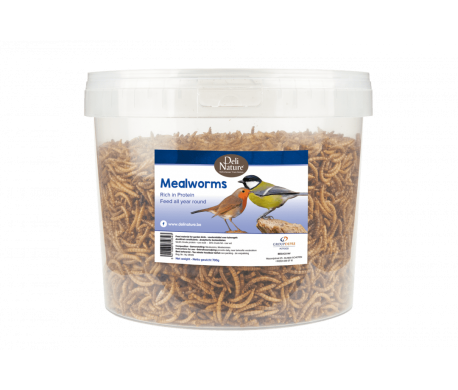 Deli Nature Meelwormen - 700gr