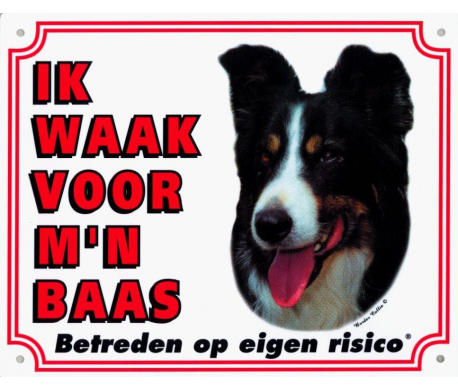 Waakbord Border Collie