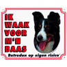 Waakbord Border Collie
