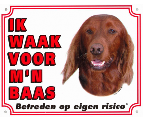 Waakbord Ierse Setter Waakbord Ierse Setter