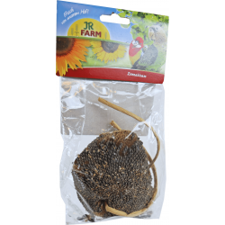 JR Farm Grote Parkiet & Papegaai Zonnebloem