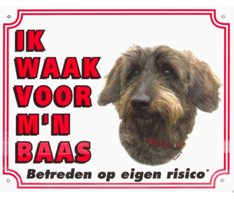 Waakbord Teckel ruwharig Waakbord Teckel ruwharig