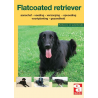 Flatcoated retriever