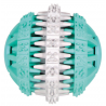 Trixie Denta Fun Ball 6 cm - Aqua/Wit