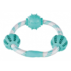 Trixie Denta Fun koordring met Ballen