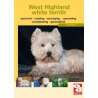 West Highland white terriër
