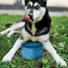 Kurgo Opvouwbare drink en/of eet bak Bowl blauw