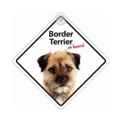 Autobordje - Border Terriër On Board