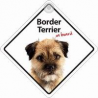 Autobordje - Border Terriër On Board