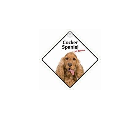 Cocker Spaniel on board Cocker Spaniel on board