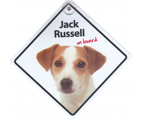 Jack Russel on board Jack Russel on board