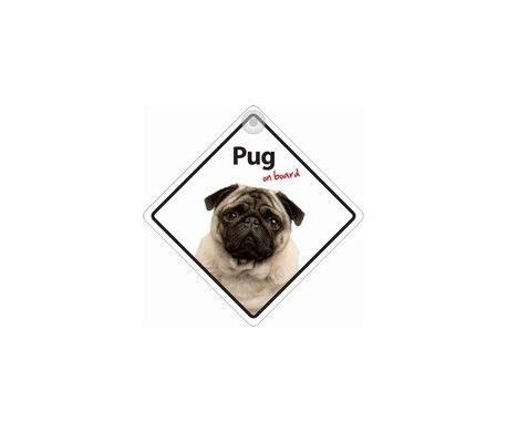 Autobordje - Pug On Board