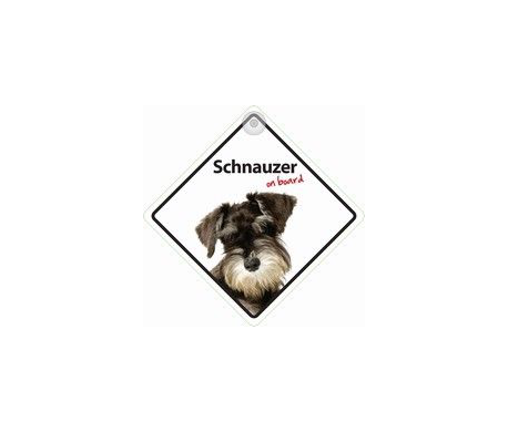 Schnauzer on board Schnauzer on board
