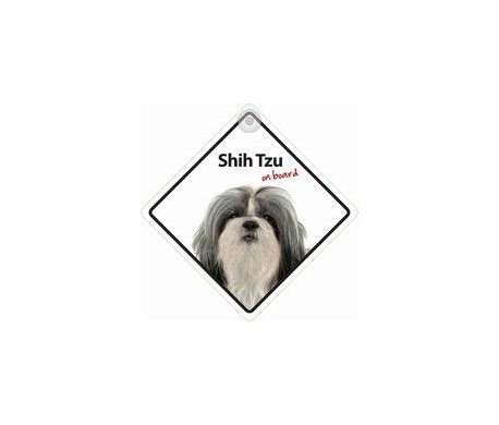 Shih Tzu on board Shih Tzu on board