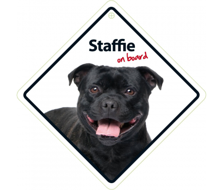 Staffie on board Staffie on board