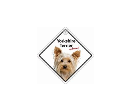 Autobordje - Yorkshire Terriër On Board