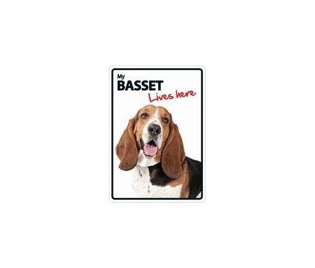 Basset Lives here