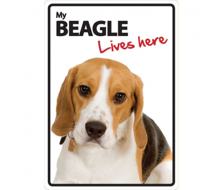 Beagle Lives here Beagle Lives here