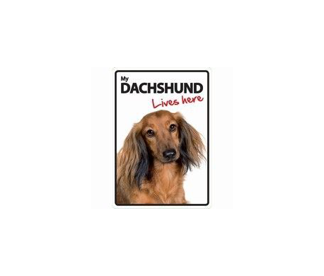 Dachshund Lives here