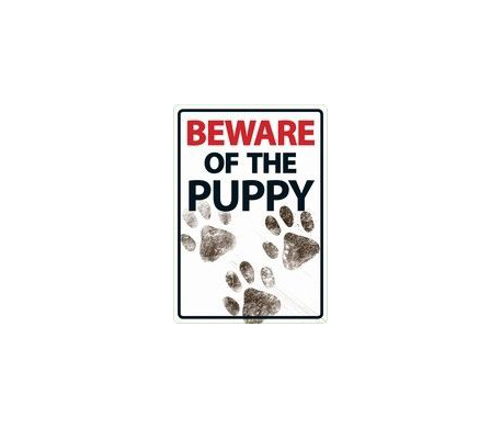 Beware of the Puppy