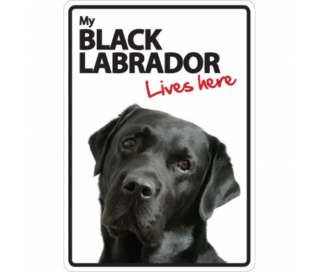 Black Labrador Lives here Black Labrador Lives here