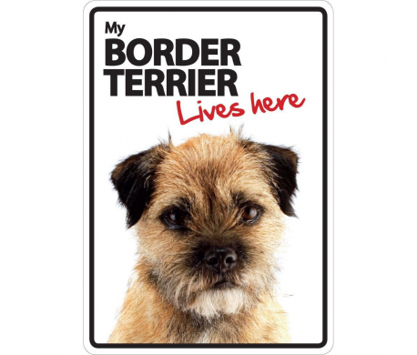 Border Terriër Lives here Border Terriër Lives here