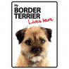 Border Terriër Lives here