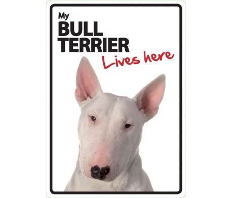 Bull Terriër Lives here Bull Terriër Lives here