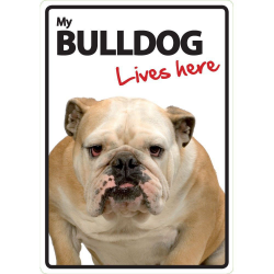 Bulldog Lives here