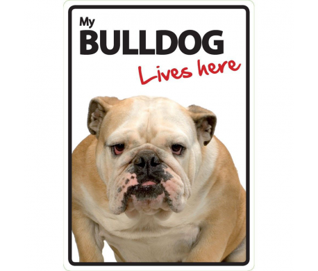 Bulldog Lives here