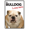 Bulldog Lives here