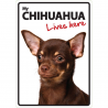 Chihuahua Lives here