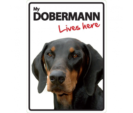 Dobermann Lives here Dobermann Lives here
