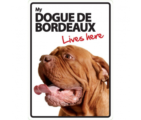 Bordeaux Dog Lives here Bordeaux Dog Lives here