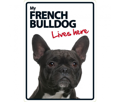 French Bulldog Lives here French Bulldog Lives here