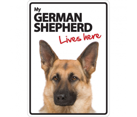 German Shepherd Lives here