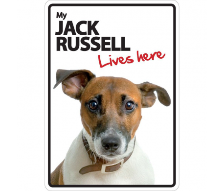 Jack Russel Lives here