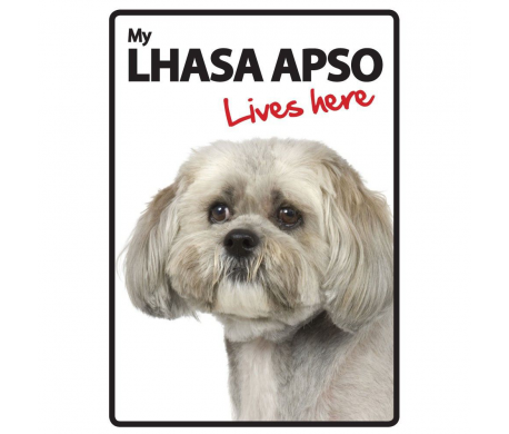 Lhasa Apso Lives here Lhasa Apso Lives here