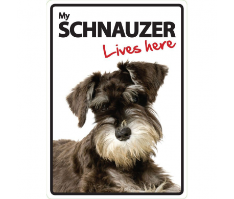 Schnauzer Lives here