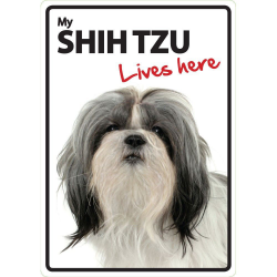 Shih Tzu Lives here