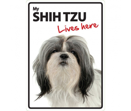 Shih Tzu Lives here Shih Tzu Lives here