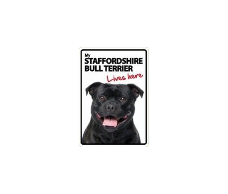 Staffordshire Bull Terrier Lives here Staffordshire Bull Terrier Lives here