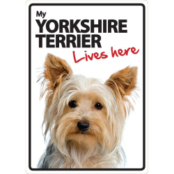 Yorkshire Terriër Lives here