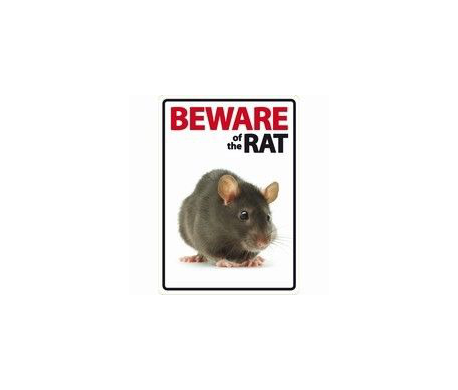 Beware of the Rat