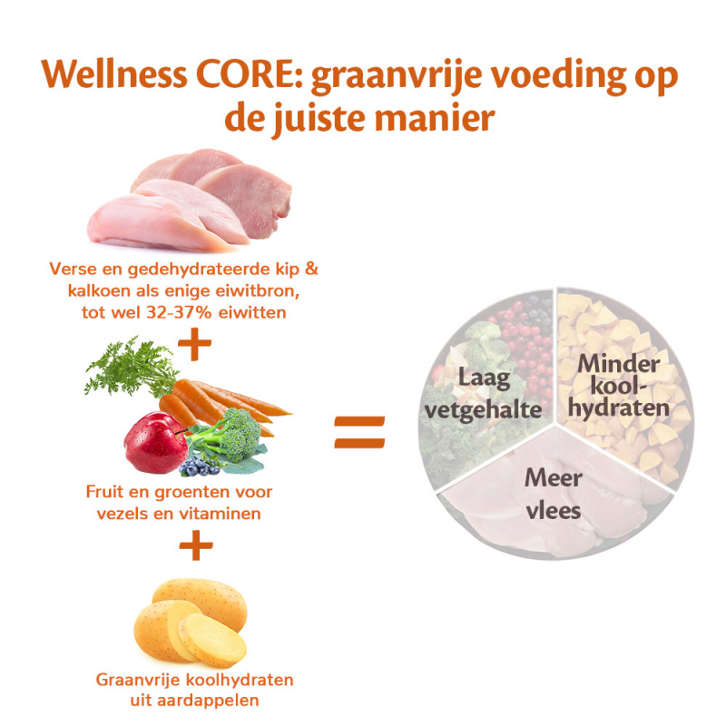 Instrument String string Geef rechten Wellness CORE Puppy Kalkoen & Kip kopen? | Dierenverblijf.com