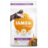 Iams Cat Kitten Chicken