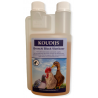Koudijs Bronchi Block 500ml