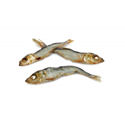 BZ Sprotjes 75g