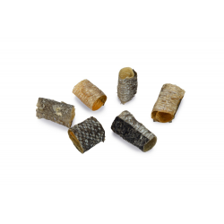BZ Zalmhuid Canellies - 150gr 